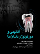 آناتومی و مورفولوژی دندان  ها